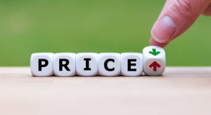 Affordability: Making Mobility Accessible to All